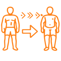 Y6 Y6